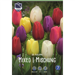 Смесь триумф тюльпанов XXL
