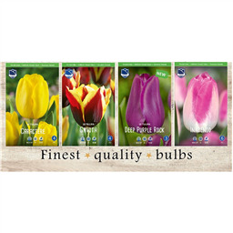 STT-235 Тюльпаны Простые Ранние & Триумф(4x50шт.)12/+