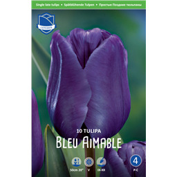 Тюльпан Блю Эмейбл