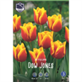 Тюльпан Доу Джонс