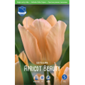 Тюльпан Эприкот Бьюти