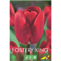 Тюльпан Фостери Кинг(упаковка мини)