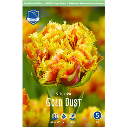 Тюльпан Голд Даст 