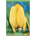 Тюльпан Голден Оксфорд(упаковка мини)