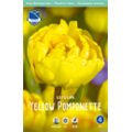 Тюльпан Йеллоу Помпонет