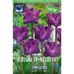 Тюльпан Краун оф Негрита