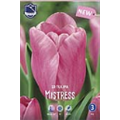 Тюльпан Мистресс(упаковка мини)