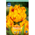Тюльпан Монселла