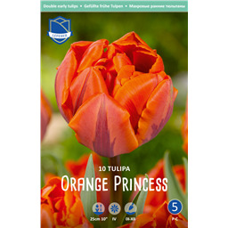 Тюльпан Орандж Принцесс
