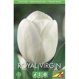 Тюльпан Роял Вирджин(упаковка мини)