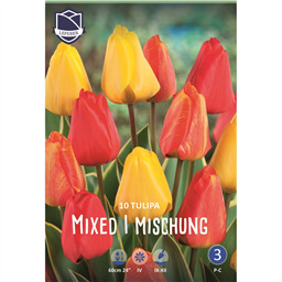 Тюльпан Смесь дарвиновых гибридов
