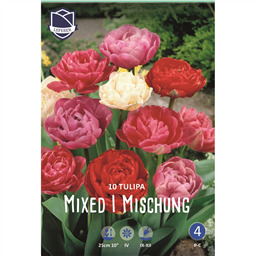 Тюльпан Смесь махровых ранних