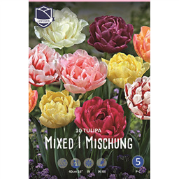 Тюльпан Смесь пионовидных