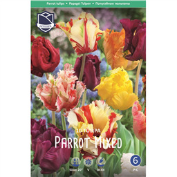 Тюльпан Смесь попугайных