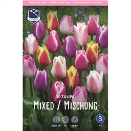 Тюльпан Смесь триумф