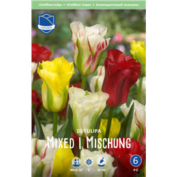 Тюльпан Смесь зеленоцветных