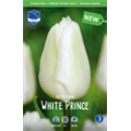 Тюльпан Уайт Принц