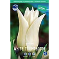 Тюльпан Уайт Триумфоатор