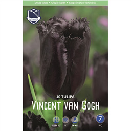 Тюльпан Винсент Ван Гог