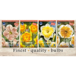 VAN-235 Нарциссы Орхидейные(4x50шт.)12-14